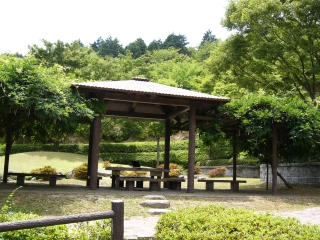 藤棚