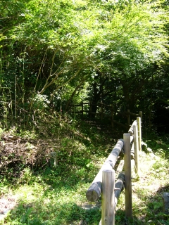 登り道